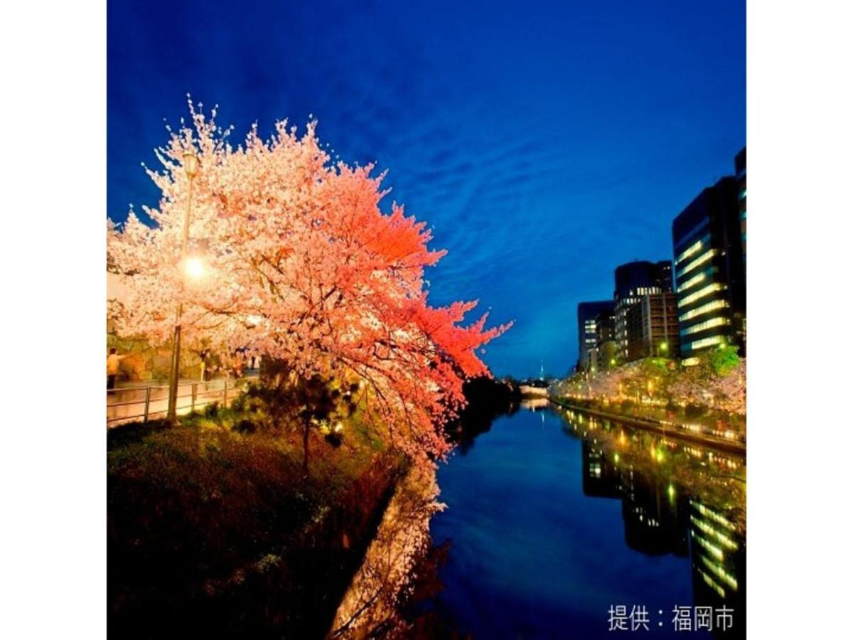 Court Hotel Fukuoka Tenjin - Vacation Stay 42334V Dış mekan fotoğraf